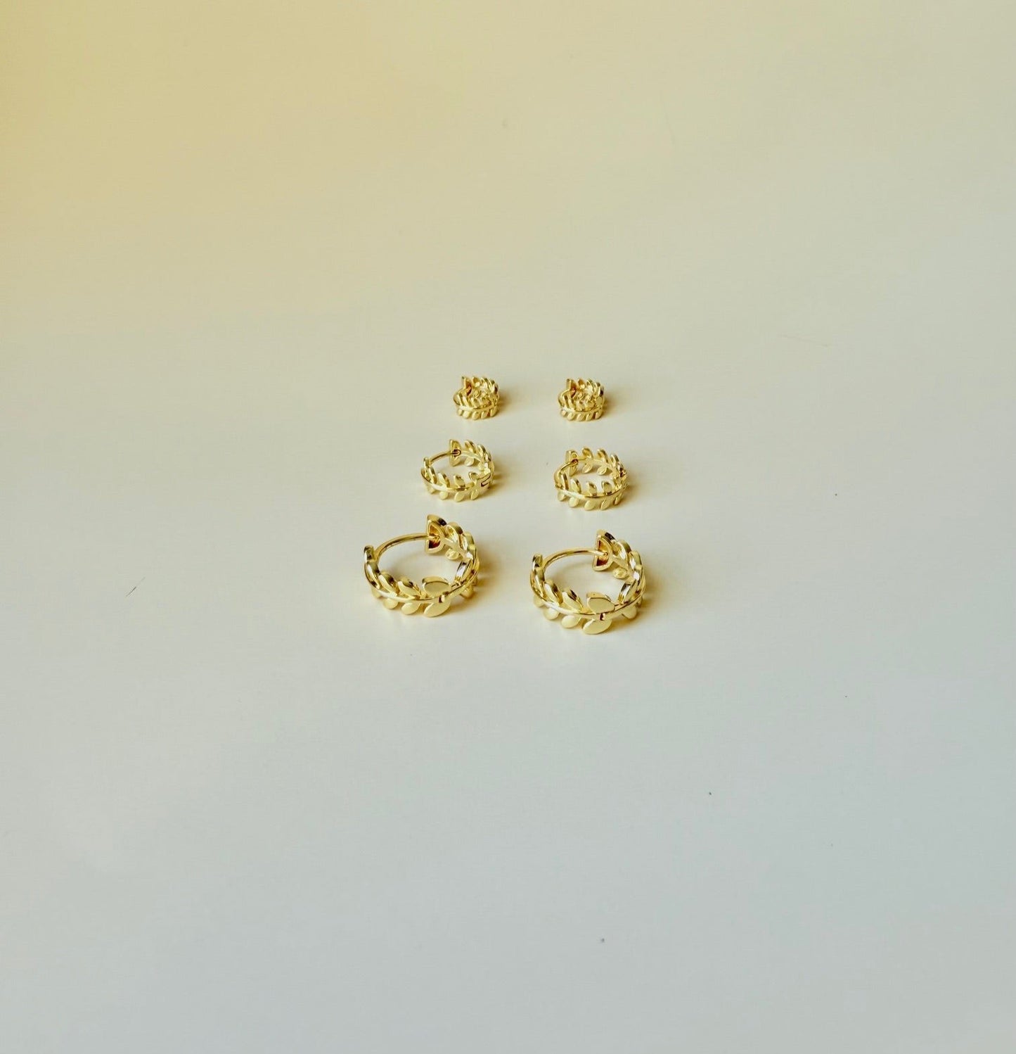 Reina Hoop Earrings Set